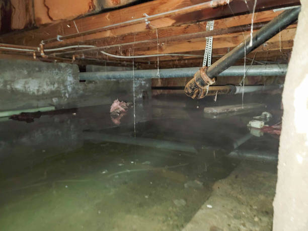 Best Emergency water damage restoration  in Red Chute, LA