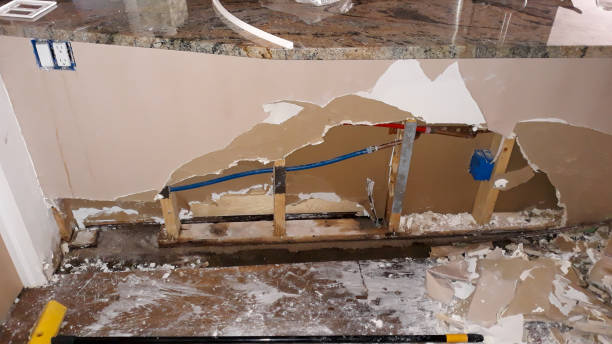 Best Flood damage cleanup  in Red Chute, LA