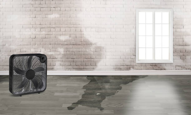 Best 24-hour water damage restoration  in Red Chute, LA
