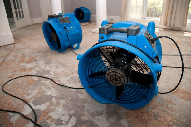 Best Commercial water damage restoration  in Red Chute, LA
