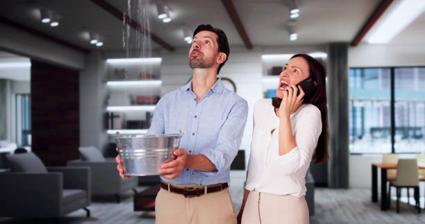 Best 24/7 water damage repair  in Red Chute, LA