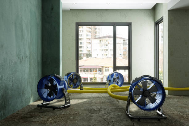 Best Carpet water damage restoration  in Red Chute, LA