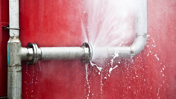 Best Water damage cleanup near me  in Red Chute, LA